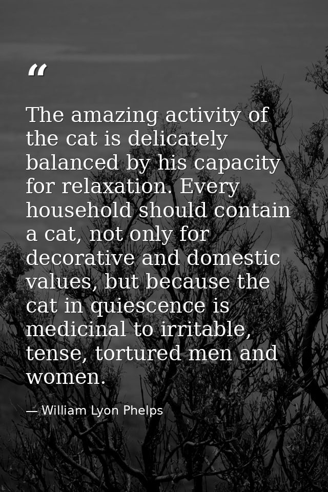 The amazing activity of the cat is delicately balanced by his capacity for relaxation. Every household should contain a  — William Lyon Phelps