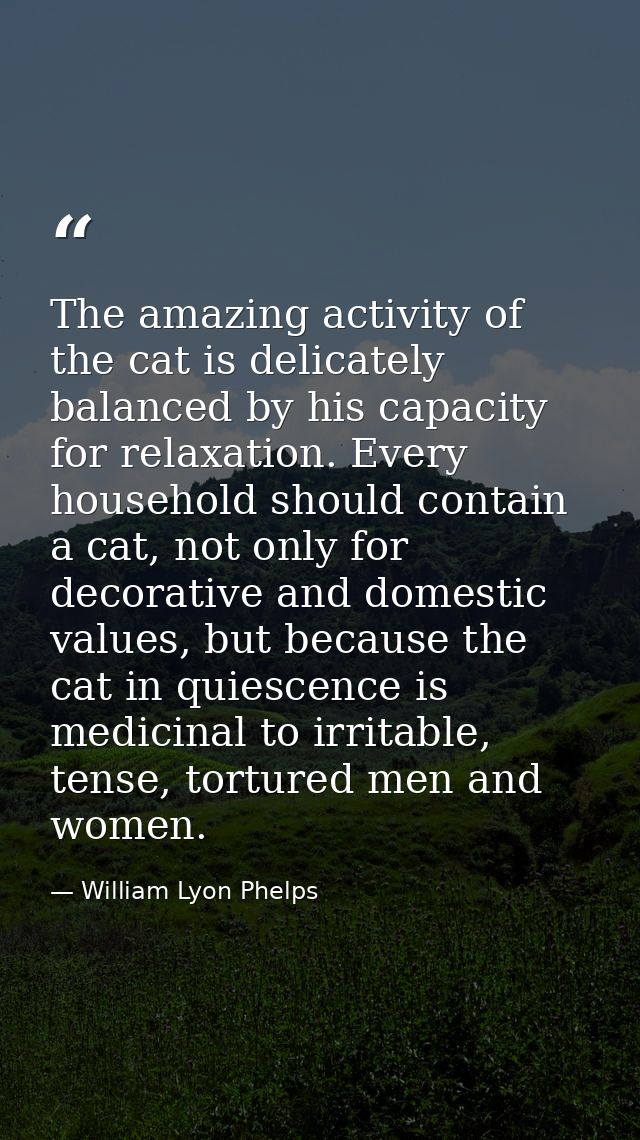 The amazing activity of the cat is delicately balanced by his capacity for relaxation. Every household should contain a  — William Lyon Phelps