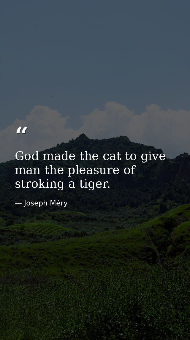 God made the cat to give man the pleasure of stroking a tiger. — Joseph Méry