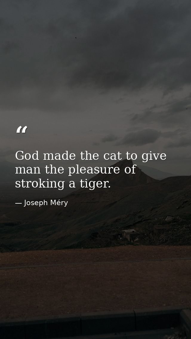 God made the cat to give man the pleasure of stroking a tiger. — Joseph Méry