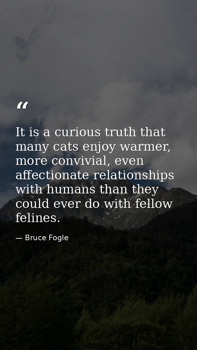 It is a curious truth that many cats enjoy warmer, more convivial, even affectionate relationships with humans than they — Bruce Fogle