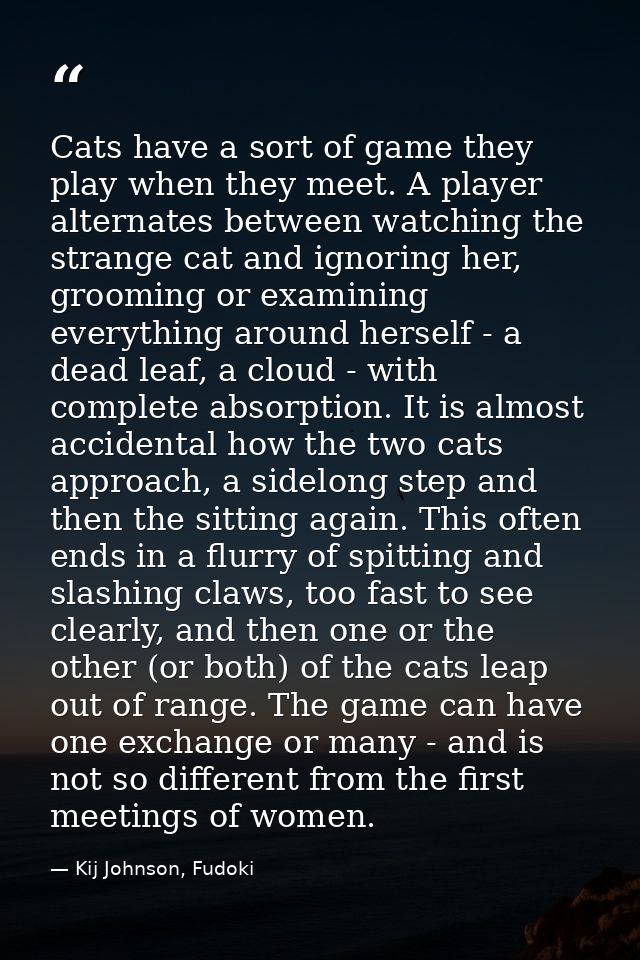 Cats have a sort of game they play when they meet. A player alternates between watching the strange cat and ignoring her — Kij Johnson, Fudoki