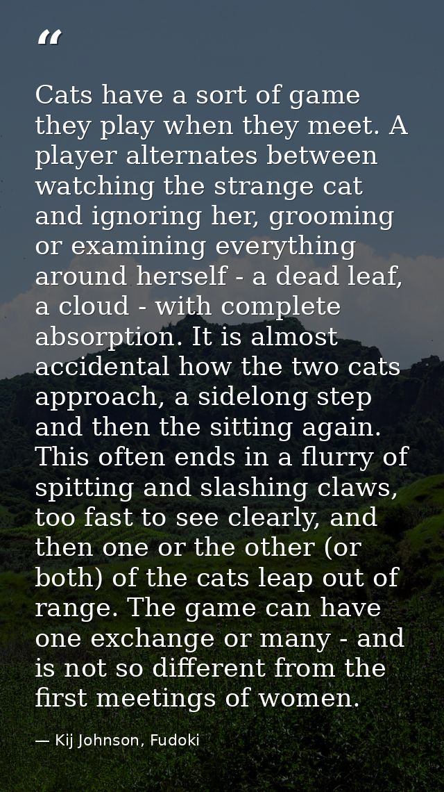 Cats have a sort of game they play when they meet. A player alternates between watching the strange cat and ignoring her — Kij Johnson, Fudoki