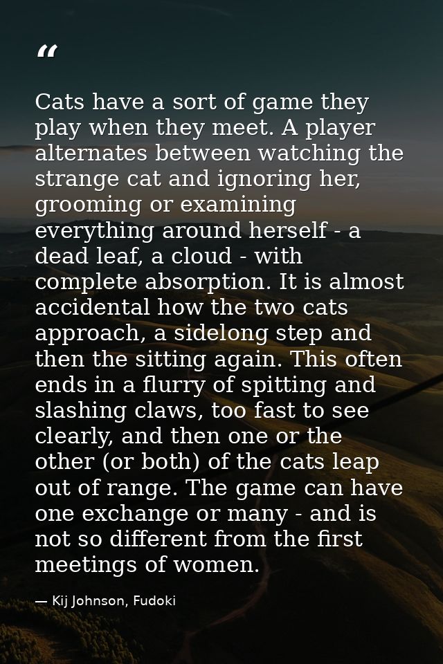Cats have a sort of game they play when they meet. A player alternates between watching the strange cat and ignoring her — Kij Johnson, Fudoki