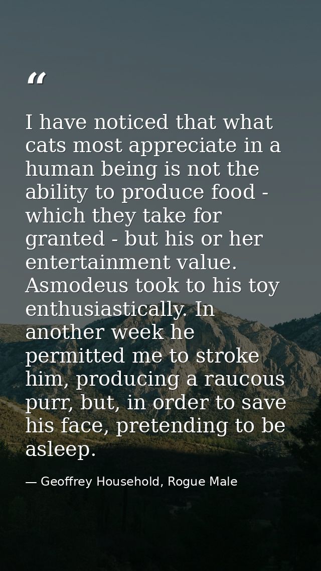 I have noticed that what cats most appreciate in a human being is not the ability to produce food - which they take for  — Geoffrey Household, Rogue Male