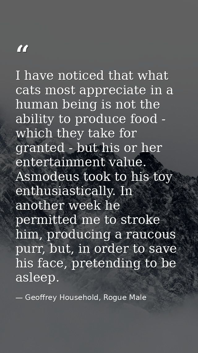 I have noticed that what cats most appreciate in a human being is not the ability to produce food - which they take for  — Geoffrey Household, Rogue Male