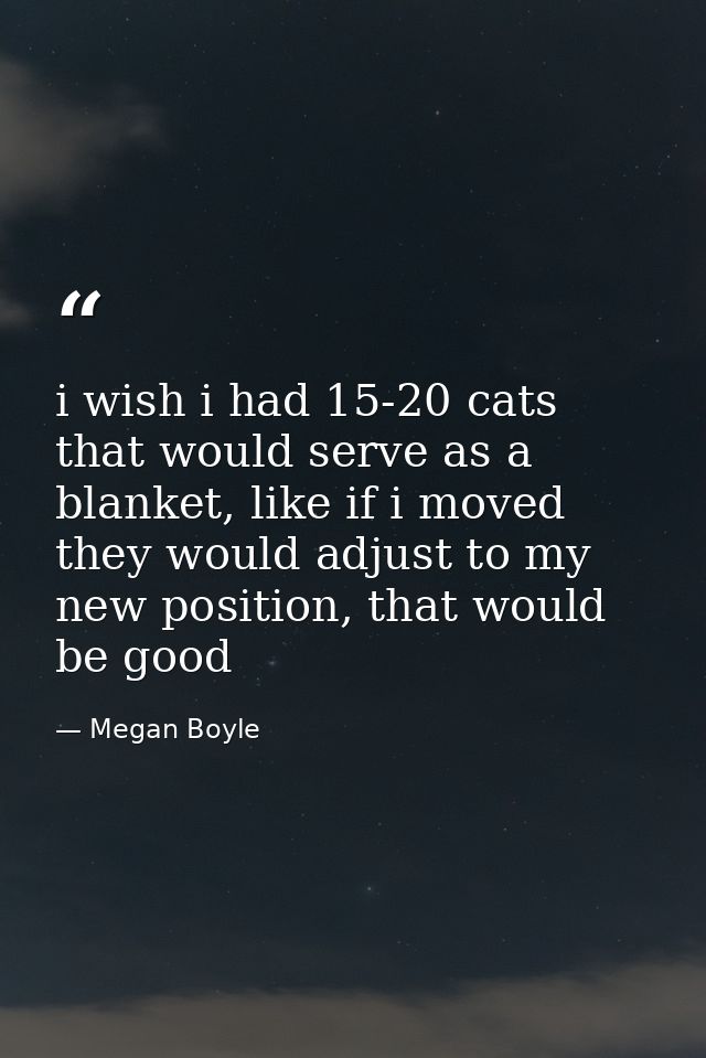 i wish i had 15-20 cats that would serve as a blanket, like if i moved they would adjust to my new position, that would  — Megan Boyle