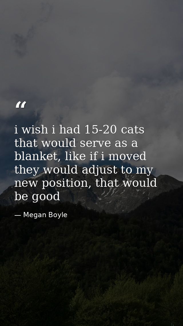 i wish i had 15-20 cats that would serve as a blanket, like if i moved they would adjust to my new position, that would  — Megan Boyle