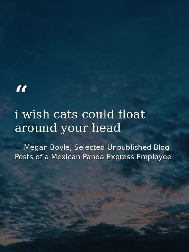 i wish cats could float around your head — Megan Boyle, Selected Unpublished Blog Posts of a Mexican Panda Express Employee
