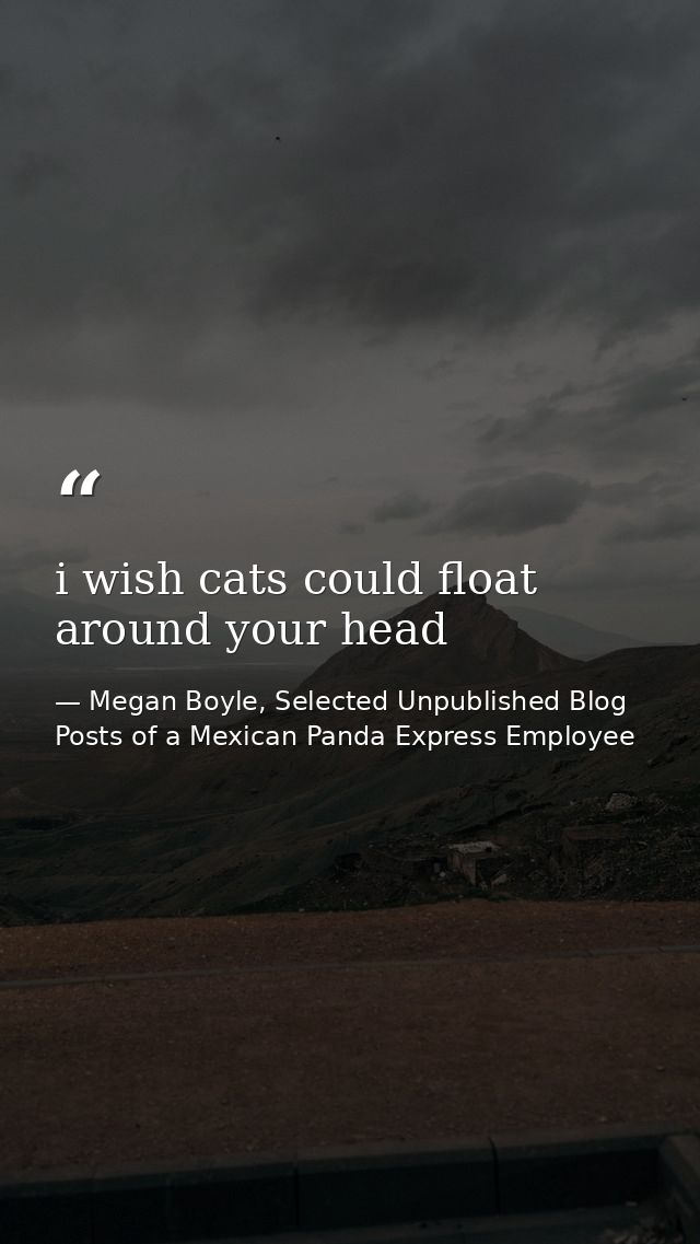 i wish cats could float around your head — Megan Boyle, Selected Unpublished Blog Posts of a Mexican Panda Express Employee
