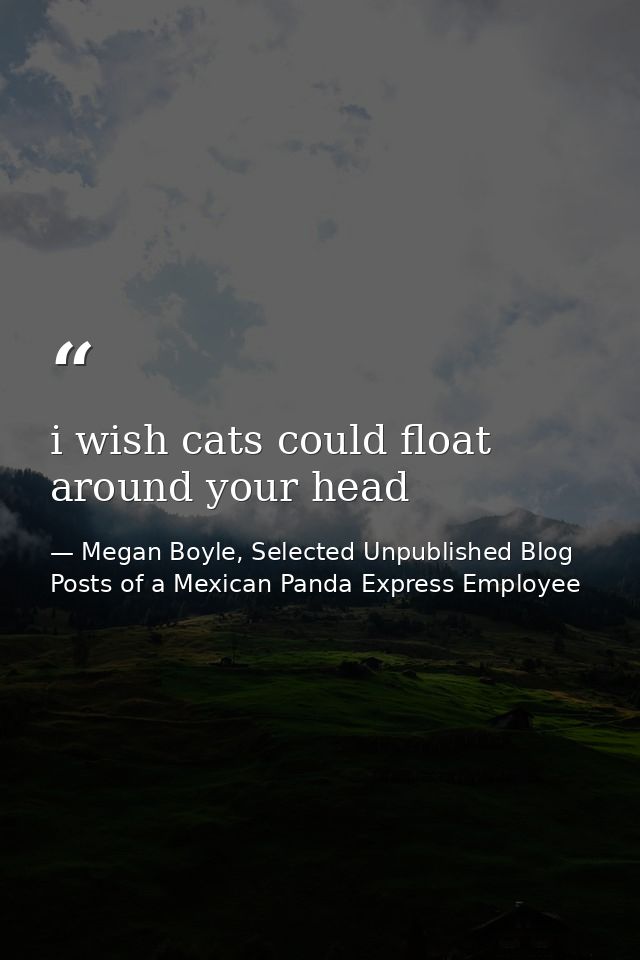 i wish cats could float around your head — Megan Boyle, Selected Unpublished Blog Posts of a Mexican Panda Express Employee
