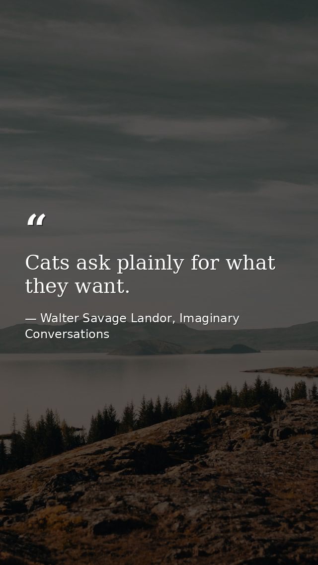 Cats ask plainly for what they want. — Walter Savage Landor, Imaginary Conversations