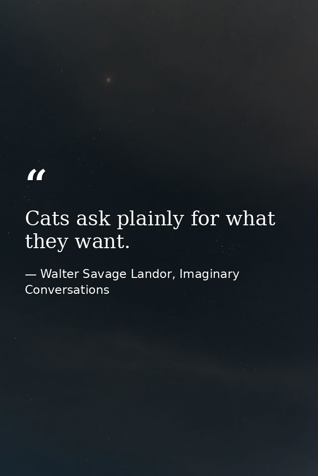 Cats ask plainly for what they want. — Walter Savage Landor, Imaginary Conversations