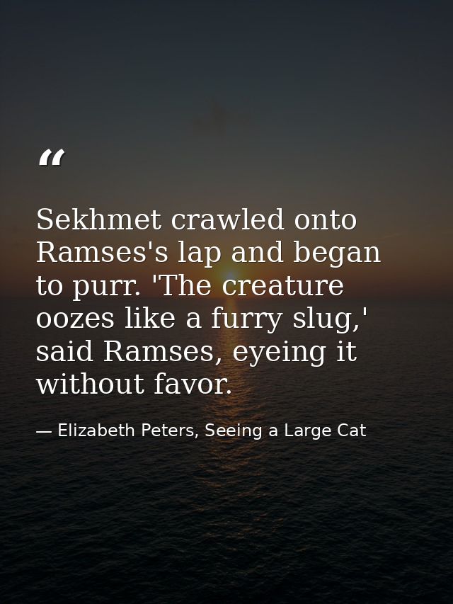 Sekhmet crawled onto Ramses's lap and began to purr. 'The creature oozes like a furry slug,' said Ramses, eyeing it with — Elizabeth Peters, Seeing a Large Cat