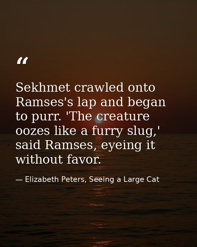Sekhmet crawled onto Ramses's lap and began to purr. 'The creature oozes like a furry slug,' said Ramses, eyeing it with — Elizabeth Peters, Seeing a Large Cat