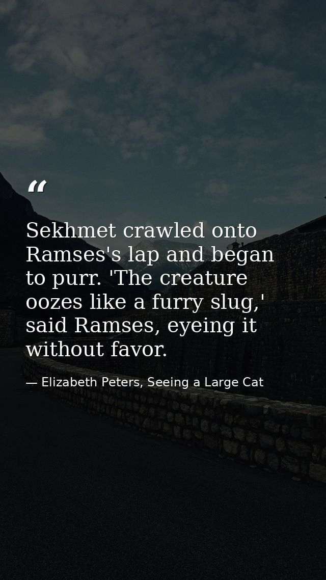 Sekhmet crawled onto Ramses's lap and began to purr. 'The creature oozes like a furry slug,' said Ramses, eyeing it with — Elizabeth Peters, Seeing a Large Cat