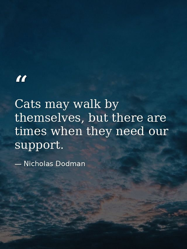 Cats may walk by themselves, but there are times when they need our support. — Nicholas Dodman