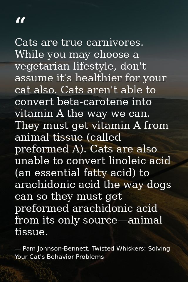 Cats are true carnivores. While you may choose a vegetarian lifestyle, don't assume it's healthier for your cat also. Ca — Pam Johnson-Bennett, Twisted Whiskers: Solving Your Cat's Behavior Problems