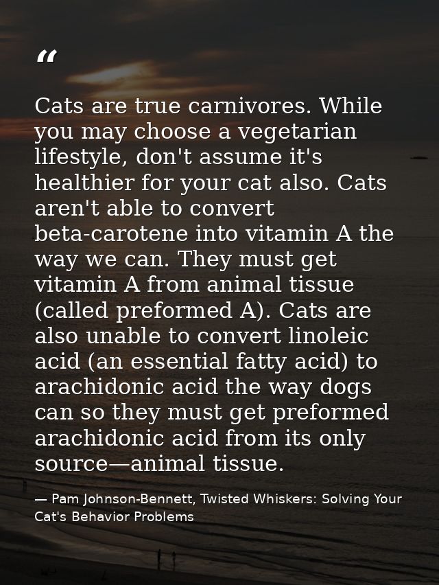 Cats are true carnivores. While you may choose a vegetarian lifestyle, don't assume it's healthier for your cat also. Ca — Pam Johnson-Bennett, Twisted Whiskers: Solving Your Cat's Behavior Problems