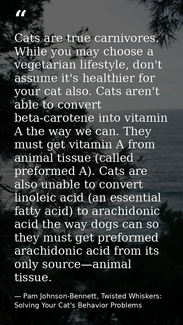 Cats are true carnivores. While you may choose a vegetarian lifestyle, don't assume it's healthier for your cat also. Ca — Pam Johnson-Bennett, Twisted Whiskers: Solving Your Cat's Behavior Problems