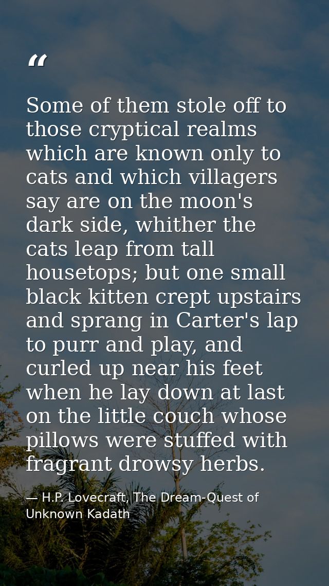 Some of them stole off to those cryptical realms which are known only to cats and which villagers say are on the moon's  — H.P. Lovecraft, The Dream-Quest of Unknown Kadath