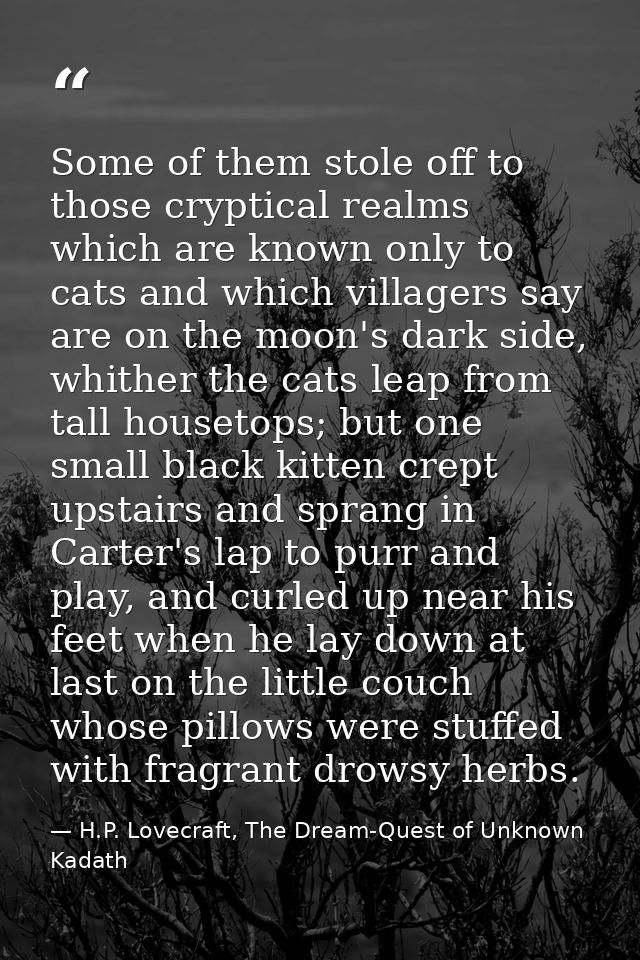 Some of them stole off to those cryptical realms which are known only to cats and which villagers say are on the moon's  — H.P. Lovecraft, The Dream-Quest of Unknown Kadath