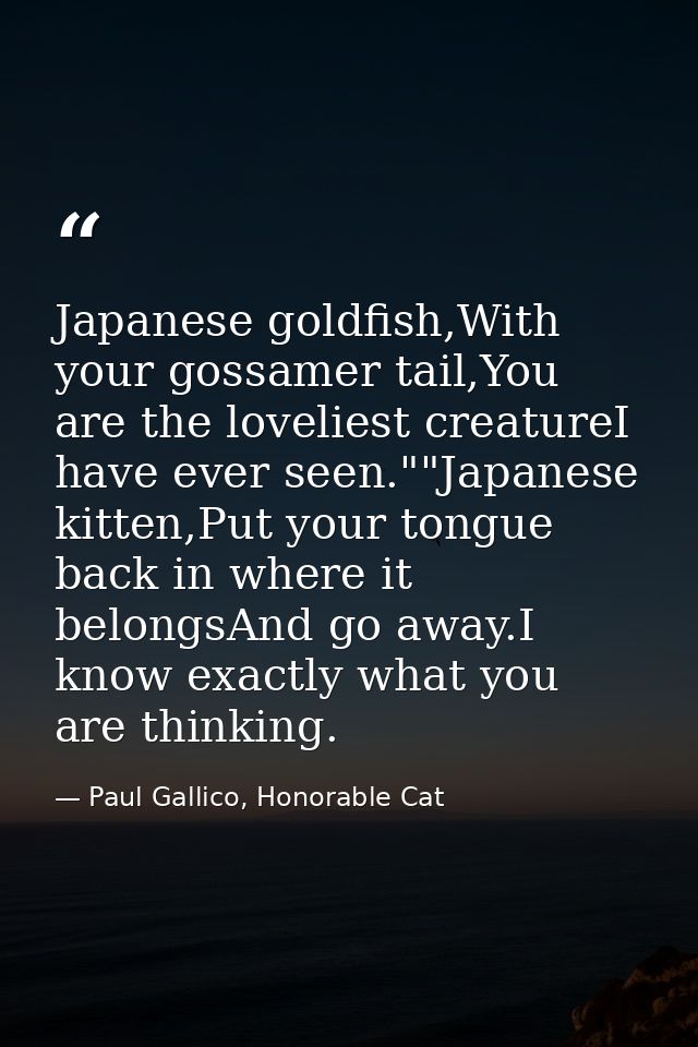 Japanese goldfish,With your gossamer tail,You are the loveliest creatureI have ever seen.""Japanese kitten,Put your tong — Paul Gallico, Honorable Cat