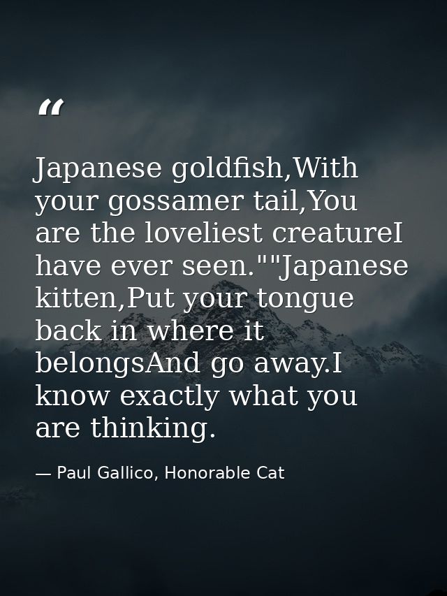 Japanese goldfish,With your gossamer tail,You are the loveliest creatureI have ever seen.""Japanese kitten,Put your tong — Paul Gallico, Honorable Cat