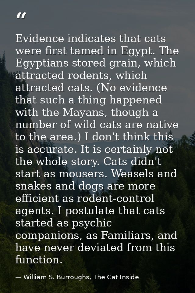 Evidence indicates that cats were first tamed in Egypt. The Egyptians stored grain, which attracted rodents, which attra — William S. Burroughs, The Cat Inside