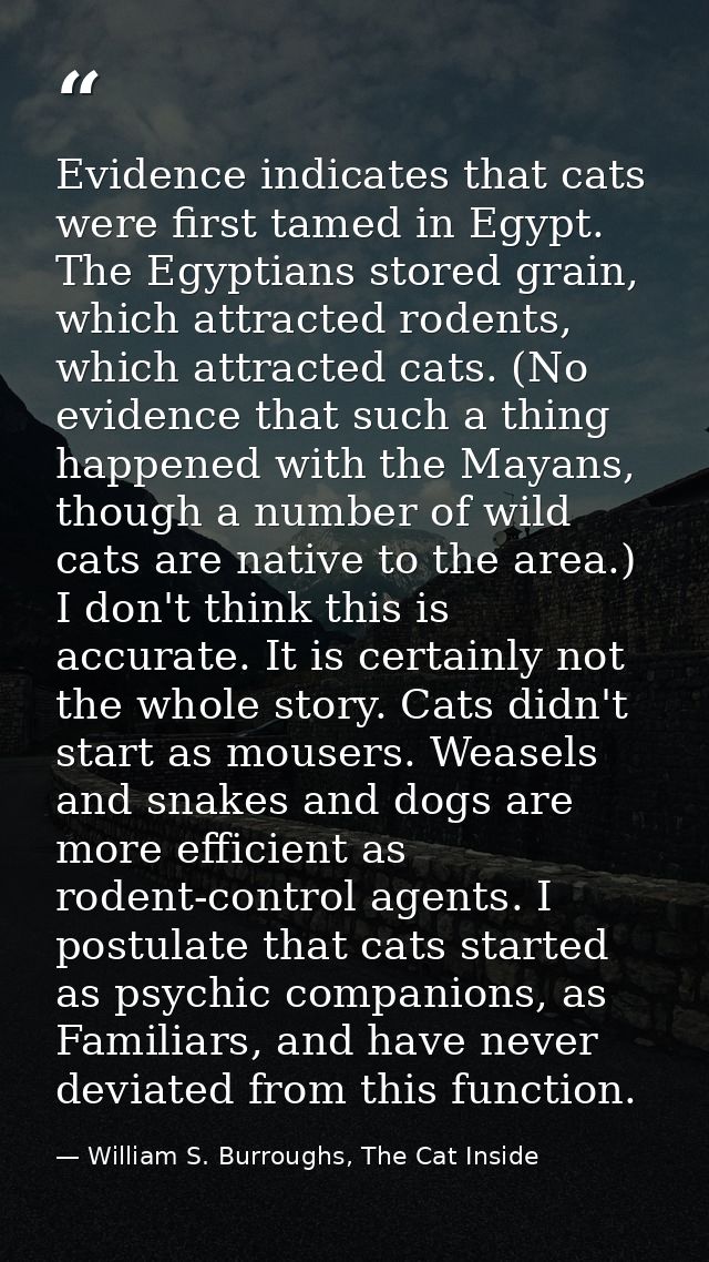 Evidence indicates that cats were first tamed in Egypt. The Egyptians stored grain, which attracted rodents, which attra — William S. Burroughs, The Cat Inside