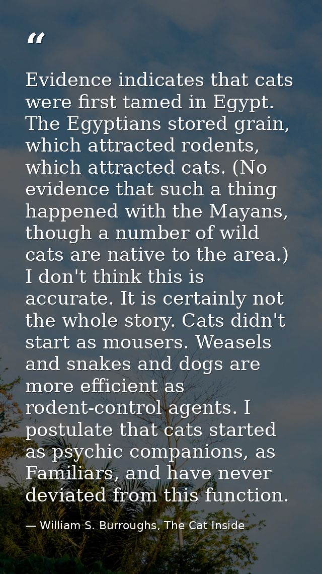 Evidence indicates that cats were first tamed in Egypt. The Egyptians stored grain, which attracted rodents, which attra — William S. Burroughs, The Cat Inside