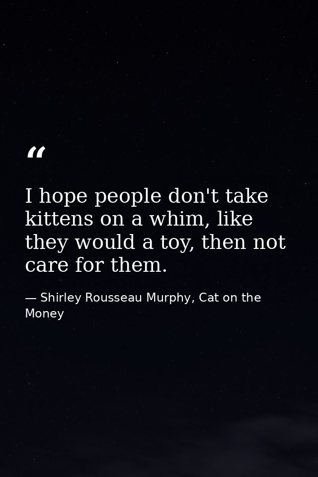 I hope people don't take kittens on a whim, like they would a toy, then not care for them. — Shirley Rousseau Murphy, Cat on the Money
