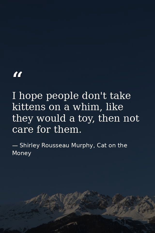 I hope people don't take kittens on a whim, like they would a toy, then not care for them. — Shirley Rousseau Murphy, Cat on the Money