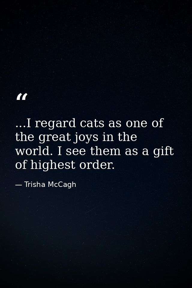 ...I regard cats as one of the great joys in the world. I see them as a gift of highest order. — Trisha McCagh