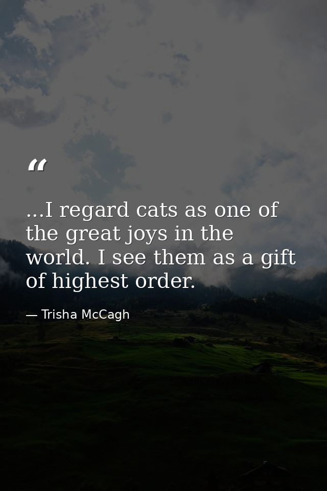 ...I regard cats as one of the great joys in the world. I see them as a gift of highest order. — Trisha McCagh