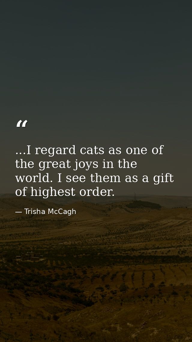 ...I regard cats as one of the great joys in the world. I see them as a gift of highest order. — Trisha McCagh