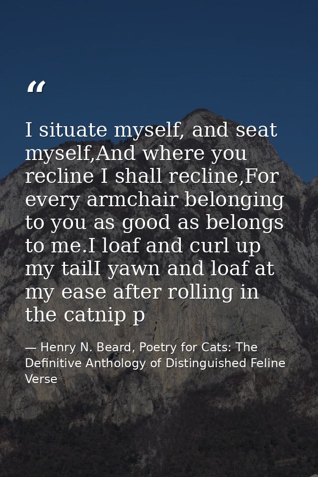 I situate myself, and seat myself,And where you recline I shall recline,For every armchair belonging to you as good as b — Henry N. Beard, Poetry for Cats: The Definitive Anthology of Distinguished Feline Verse