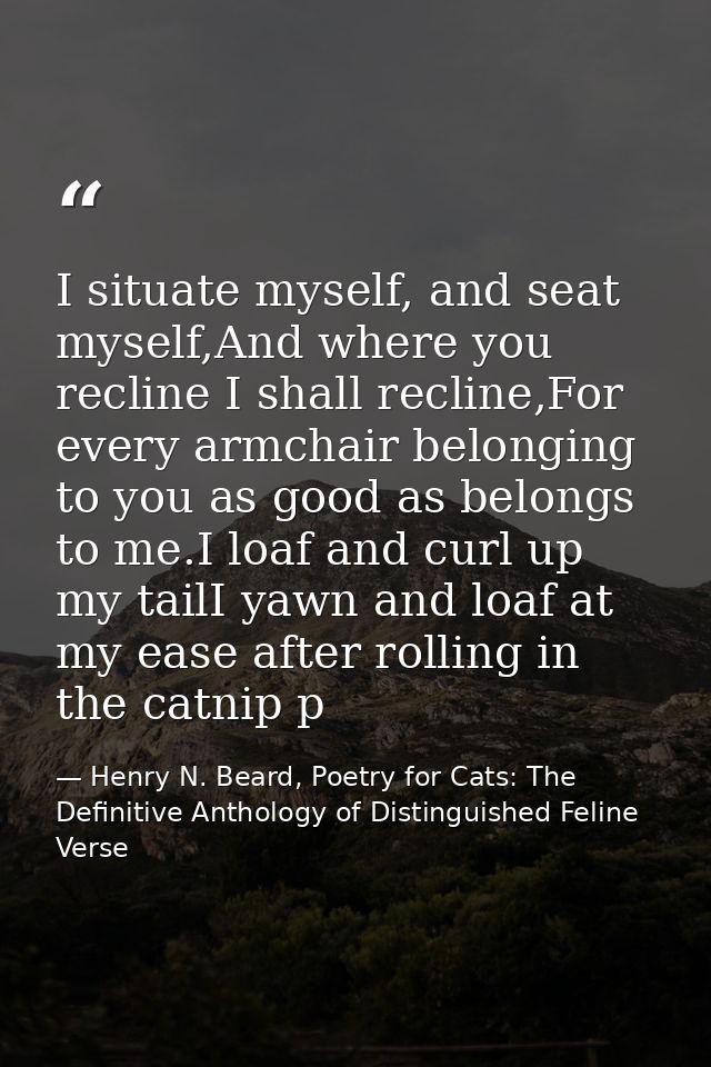 I situate myself, and seat myself,And where you recline I shall recline,For every armchair belonging to you as good as b — Henry N. Beard, Poetry for Cats: The Definitive Anthology of Distinguished Feline Verse