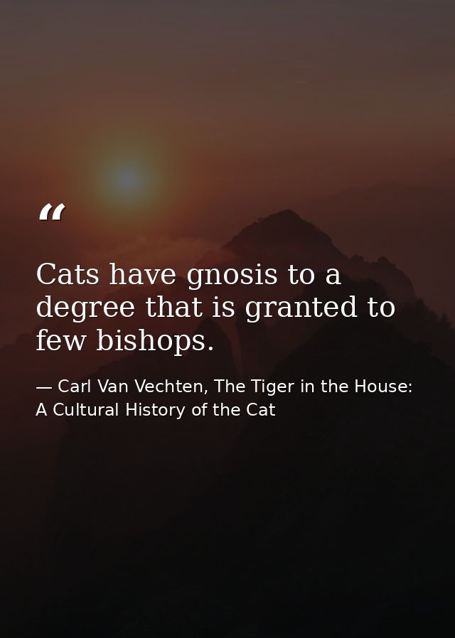 Cats have gnosis to a degree that is granted to few bishops. — Carl Van Vechten, The Tiger in the House: A Cultural History of the Cat