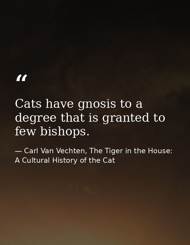 Cats have gnosis to a degree that is granted to few bishops. — Carl Van Vechten, The Tiger in the House: A Cultural History of the Cat