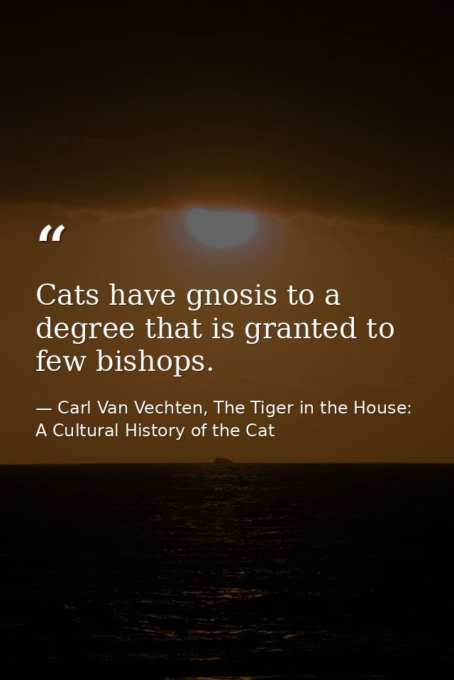 Cats have gnosis to a degree that is granted to few bishops. — Carl Van Vechten, The Tiger in the House: A Cultural History of the Cat
