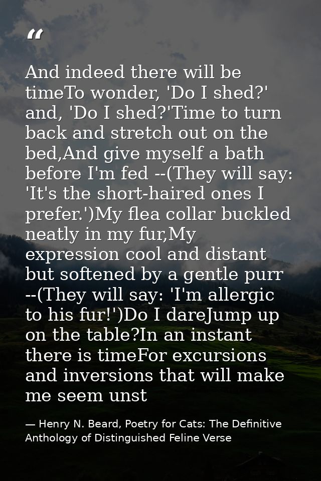 And indeed there will be timeTo wonder, 'Do I shed?' and, 'Do I shed?'Time to turn back and stretch out on the bed,And g — Henry N. Beard, Poetry for Cats: The Definitive Anthology of Distinguished Feline Verse