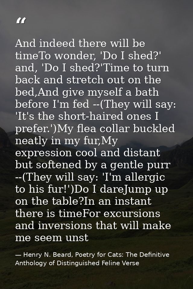And indeed there will be timeTo wonder, 'Do I shed?' and, 'Do I shed?'Time to turn back and stretch out on the bed,And g — Henry N. Beard, Poetry for Cats: The Definitive Anthology of Distinguished Feline Verse