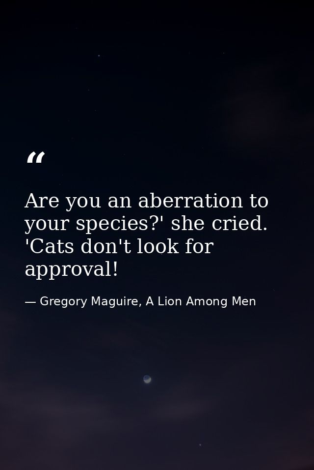 Are you an aberration to your species?' she cried. 'Cats don't look for approval! — Gregory Maguire, A Lion Among Men