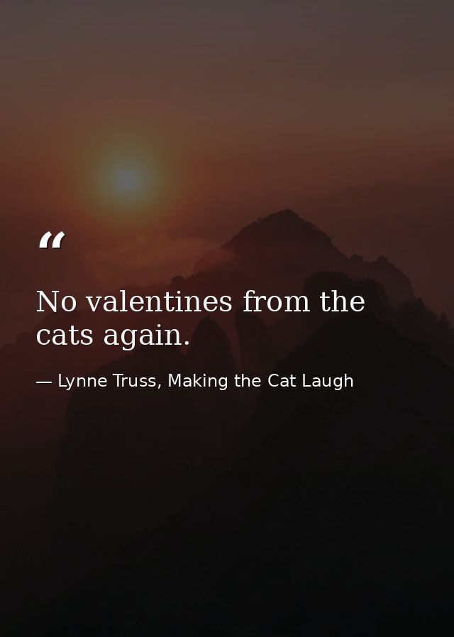 No valentines from the cats again. — Lynne Truss, Making the Cat Laugh