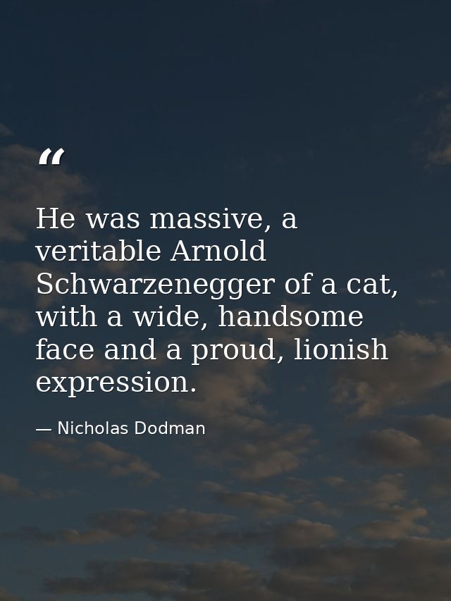He was massive, a veritable Arnold Schwarzenegger of a cat, with a wide, handsome face and a proud, lionish expression. — Nicholas Dodman