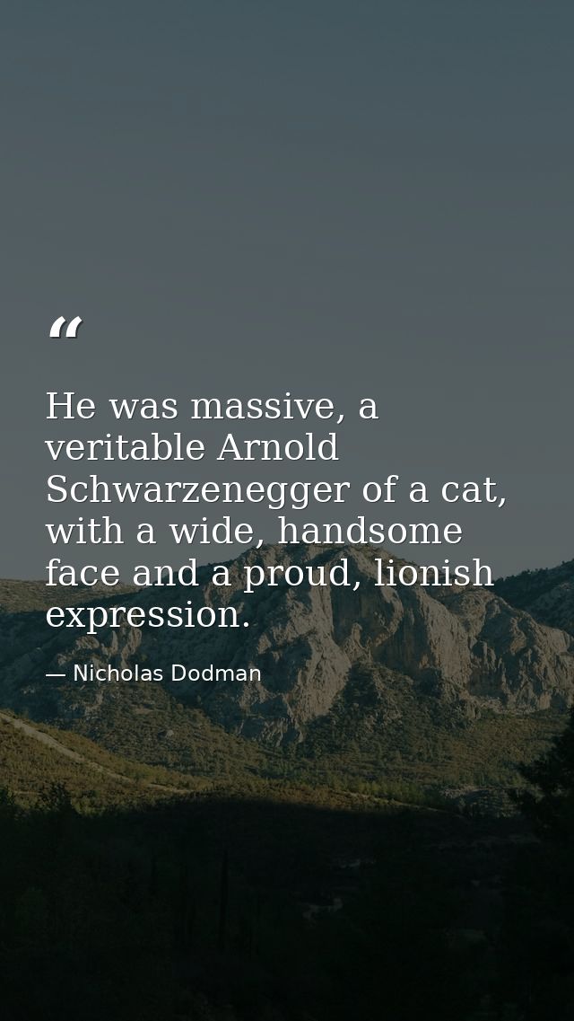 He was massive, a veritable Arnold Schwarzenegger of a cat, with a wide, handsome face and a proud, lionish expression. — Nicholas Dodman
