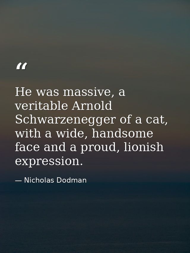 He was massive, a veritable Arnold Schwarzenegger of a cat, with a wide, handsome face and a proud, lionish expression. — Nicholas Dodman