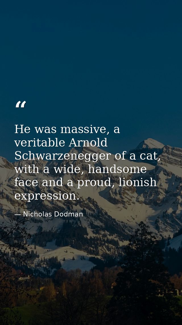 He was massive, a veritable Arnold Schwarzenegger of a cat, with a wide, handsome face and a proud, lionish expression. — Nicholas Dodman