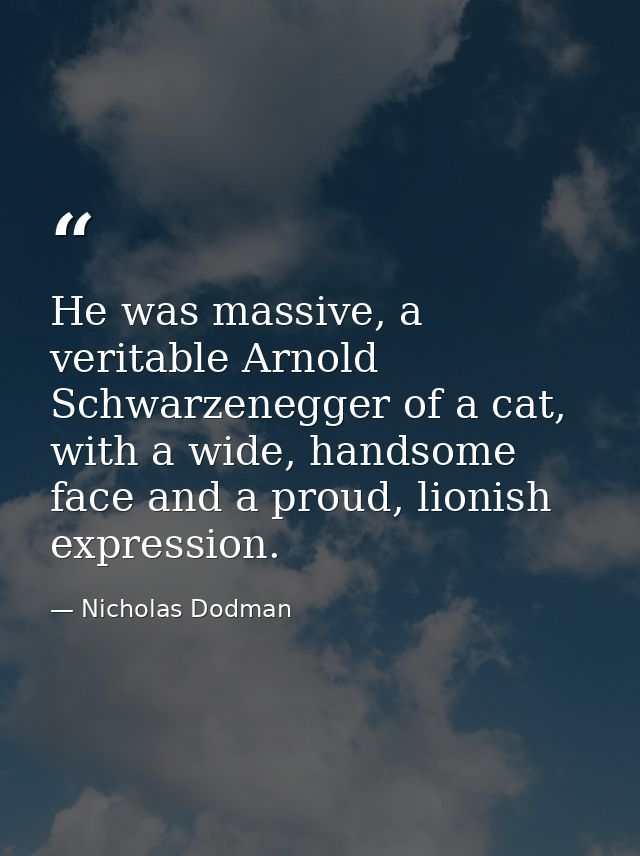 He was massive, a veritable Arnold Schwarzenegger of a cat, with a wide, handsome face and a proud, lionish expression. — Nicholas Dodman